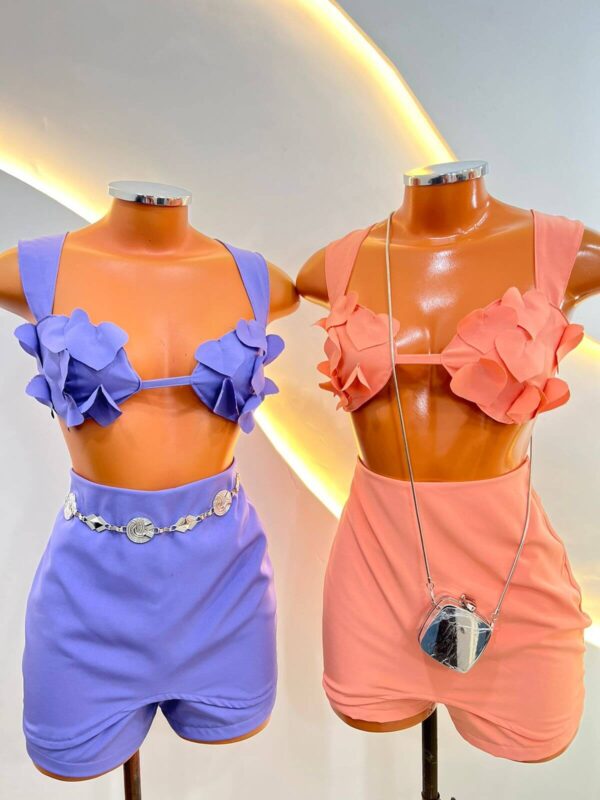 Conjunto coração